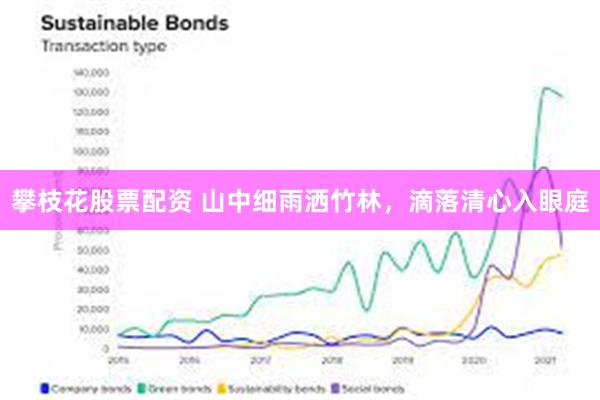 攀枝花股票配资 山中细雨洒竹林，滴落清心入眼庭