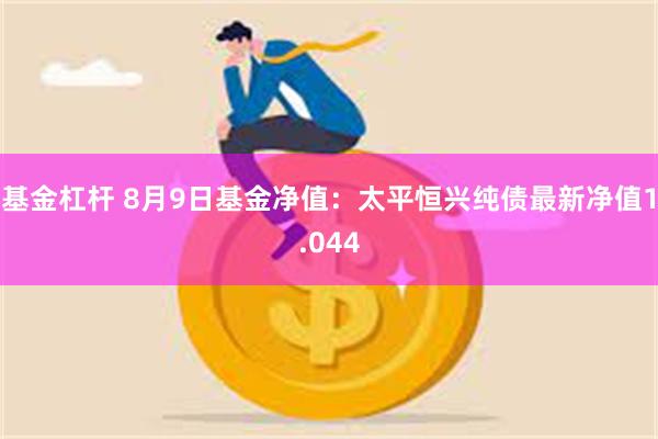 基金杠杆 8月9日基金净值：太平恒兴纯债最新净值1.044