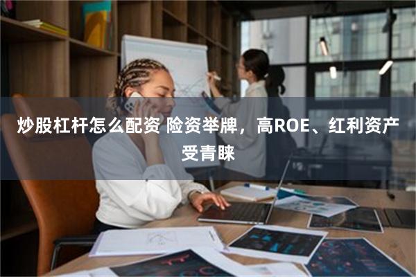 炒股杠杆怎么配资 险资举牌，高ROE、红利资产受青睐