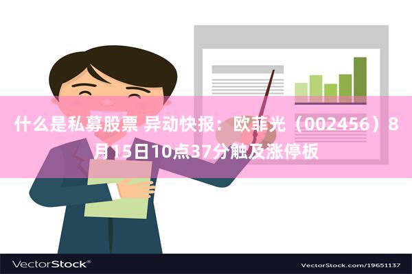 什么是私募股票 异动快报：欧菲光（002456）8月15