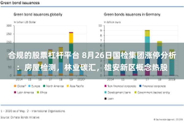 合规的股票杠杆平台 8月26日国检集团涨停分析：房屋检测，林业碳汇，雄安新区概念热股