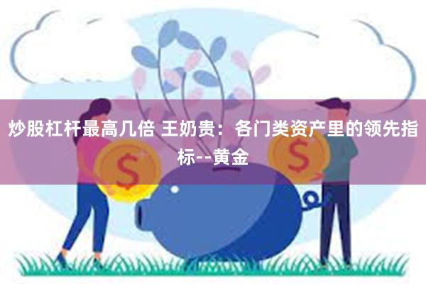 炒股杠杆最高几倍 王奶贵：各门类资产里的领先指标--黄金