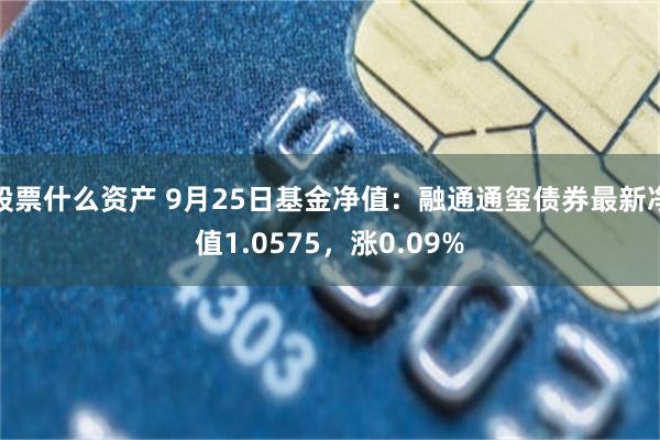 股票什么资产 9月25日基金净值：融通通玺债券最新净值1