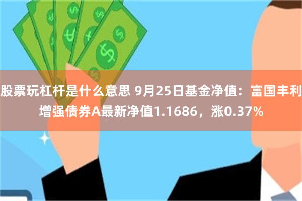 股票玩杠杆是什么意思 9月25日基金净值：富国丰利增强债券A