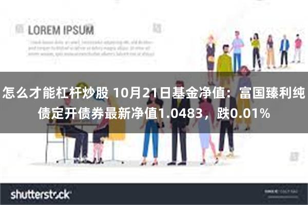 怎么才能杠杆炒股 10月21日基金净值：富国臻利纯债定开