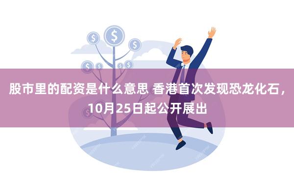 股市里的配资是什么意思 香港首次发现恐龙化石，10月25日起公开展出