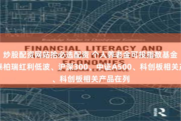 炒股配资网站拾必选配资 个人养老金可投指数基金了！华泰柏瑞红利低波、沪深300、中证A500、科创板相关产品在列