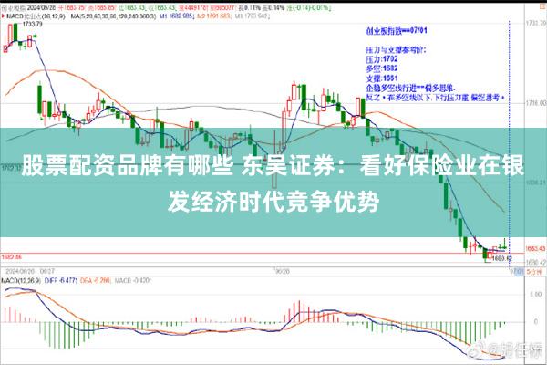 股票配资品牌有哪些 东吴证券：看好保险业在银发经济时代竞争优势