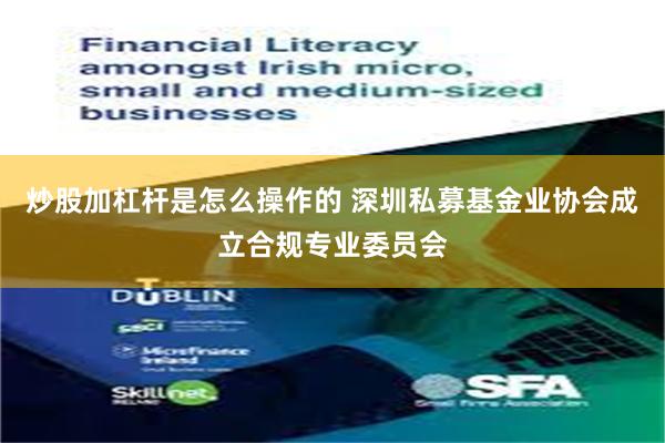 炒股加杠杆是怎么操作的 深圳私募基金业协会成立合规专业委员会