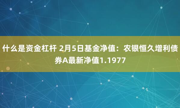 什么是资金杠杆 2月5日基金净值：农银恒久增利债券A最新净值1.1977