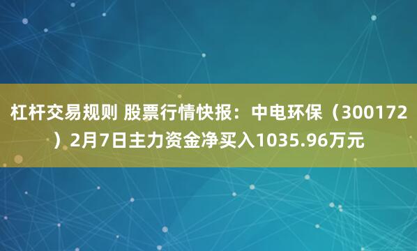 杠杆交易规则 股票行情快报：中电环保（300172）2月7日主力资金净买入1035.96万元