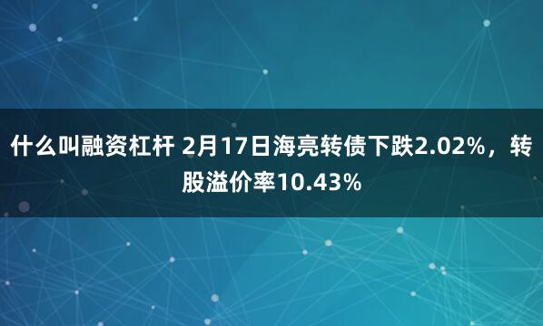 什么叫融资杠杆 2月17日海亮转债下跌2.02%，转股溢价率10.43%