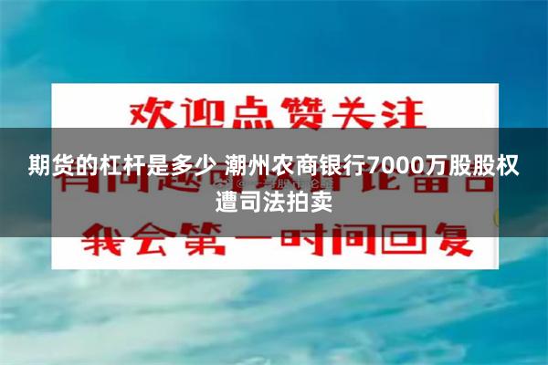 期货的杠杆是多少 潮州农商银行7000万股股权遭司法拍卖