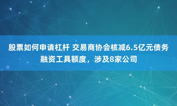 股票如何申请杠杆 交易商协会核减6.5亿元债务融资工具额度，涉及8家公司