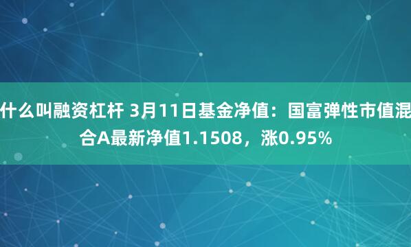 什么叫融资杠杆 3月11日基金净值：国富弹性市值混合A最新净值1.1508，涨0.95%