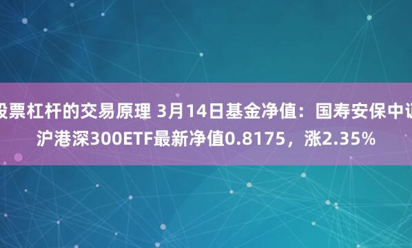 股票杠杆的交易原理 3月14日基金净值：国寿安保中证沪港深300ETF最新净值0.8175，涨2.35%