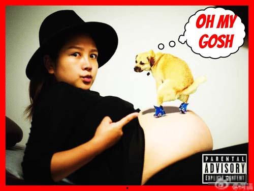 搞笑大肚图片图库,大肚萌宝欢乐集结，图库里的搞笑瞬间