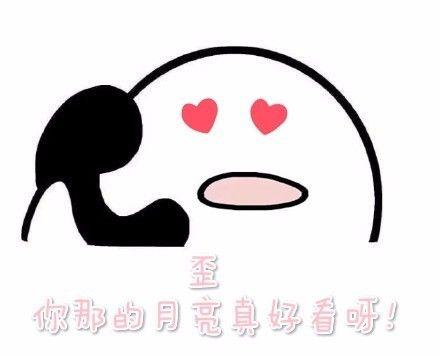 打伞动图表情包,打伞动图表情包趣味解读